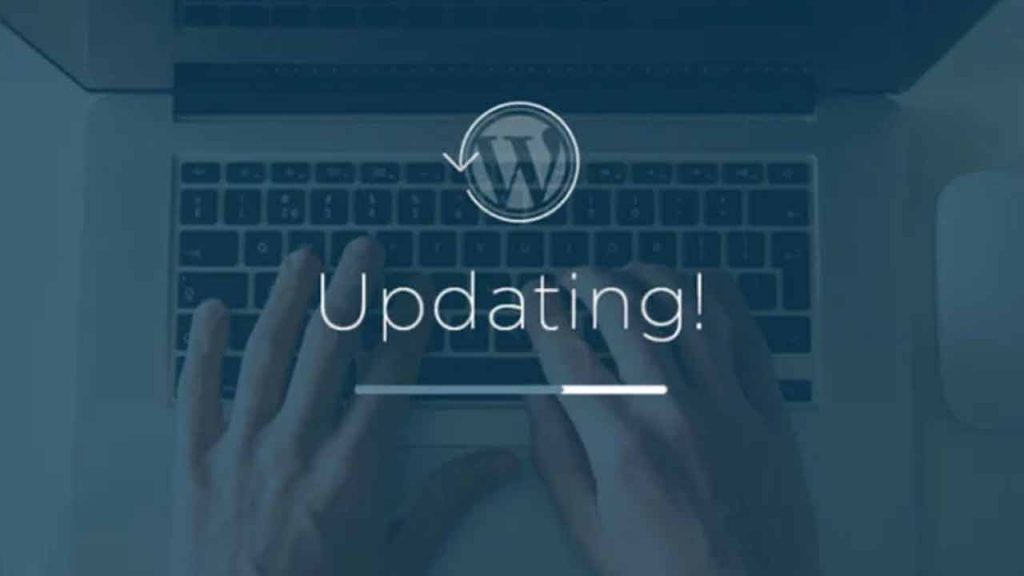 WordPress Core, Plugin, and Theme Updates